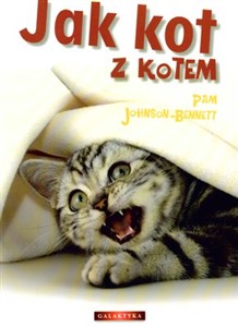 Picture of Jak kot z kotem