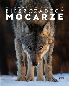 Picture of Bieszczadzcy mocarze
