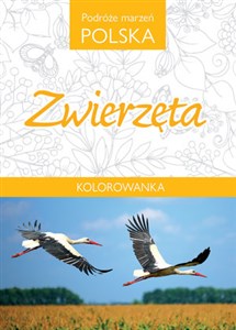 Obrazek Podróże marzeń Polska Zwierzęta Kolorowanka