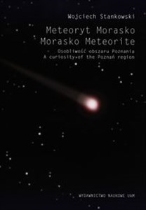 Picture of Meteoryt Morasko Osobliwość obszaru Poznania