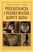 polish book : Pielęgnacj... - Ryszard Kolstrung, Piotr Silmanowicz, Anna Stachurska