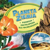 Planeta Zi... - I.W. Twarina -  Polish Bookstore 