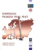 polish book : Europeizac... - Walerian Sanetra