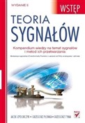 Zobacz : Teoria syg... - Jacek Izydorczyk, Grzegorz Płonka, Grzegorz Tyma