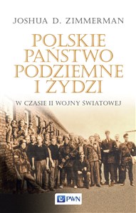 Picture of Polskie Państwo Podziemne i Żydzi w czasie II wojny światowej