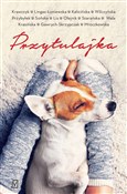polish book : Przytulajk... - Krawczyk Agnieszka, Lingas-Łoniewska Agnieszka, Kalicińska Małgorzata, Wilczyńska Karolina, Pr Agata