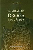 Akademicka... - Jerzy Chmiel -  foreign books in polish 