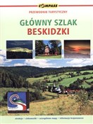 Polska książka : Główny Szl... - Agata Hanula