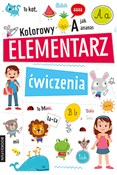 Kolorowy E... - Opracowanie Zbiorowe -  Polish Bookstore 