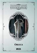 Książka : Orlica - Ferdynand Antoni Ossendowski