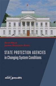 Picture of State Protection Agencies in Changing System Conditions