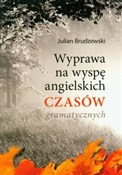 Wyprawa na... - Julian Brudzewski -  books from Poland