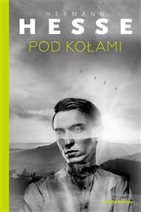 Picture of Pod kołami