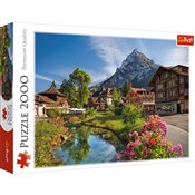 polish book : Puzzle Alp...