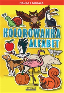 Picture of Kolorowanka Alfabet