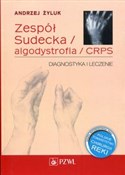 polish book : Zespół Sud... - Andrzej Żyluk