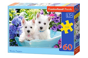 Obrazek Puzzle Westie Puppies 60 B-066100