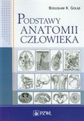 Podstawy a... - Bogusław K. Gołąb -  books in polish 
