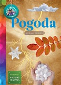 Pogoda Mło... - Iwona Wróbel -  books from Poland