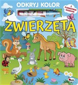 Książka : Odkryj kol... - Mirosława Kwiecińska
