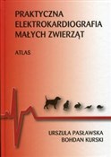 polish book : Praktyczna... - Urszula Pasławska, Bohdan Kurski