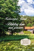 Błękitny d... - Katarzyna Janus -  books from Poland