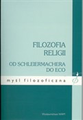 Filozofia ... - Volker Drehsen, Wilhelm Grab, Birgit Weyel -  books in polish 