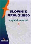 Słownik pr... - Piotr Kapusta -  Polish Bookstore 