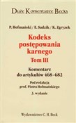 polish book : Kodeks pos... - Piotr Hofmański, Elżbieta Sadzik, Kazimierz Zgryzek