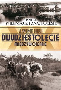 Picture of Wileńszczyzna Polesie Tom 13