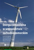Energia od... - Bartłomiej Igliński, Urszula Kiełkowska, Michał Pietrzak, Mateusz Skrzatek -  Książka z wysyłką do UK
