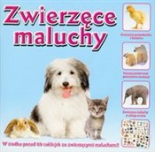 Polska książka : Mini encyk...