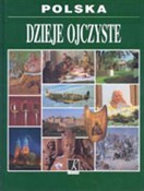 Dzieje ojc... - Stanisław Kołodziejski, Roman Marcinek, Jakub Polit -  books in polish 