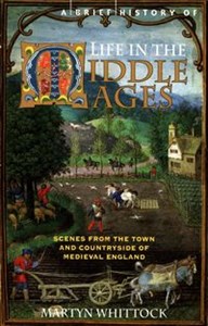 Picture of A Brief History of Life in the Middle Ages