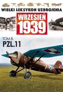 Picture of PZL P.11
