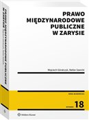 Prawo międ... - Wojciech Góralczyk, Stefan Sawicki -  books from Poland