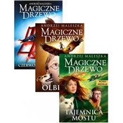 Magiczne D... - Andrzej Maleszka -  Polish Bookstore 