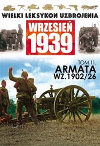 Picture of Armata WZ 1902/26