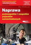Naprawa po... - Piotr Wróblewski -  books in polish 