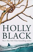 polish book : The Folk o... - Holly Black