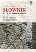 Słownik na... - Monika Choroś, Łucja Jarczak, Stanisława Sochacka -  books from Poland