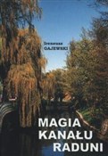 Polska książka : Magia kana... - Ireneusz Gajewski