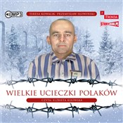 [Audiobook... - Przemysław Słowiński, Teresa Kowalik -  foreign books in polish 