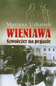 Picture of Wieniawa Szwoleżer na pegazie