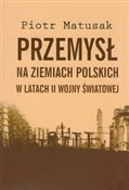 Polska książka : Przemysł n... - Piotr Matusak