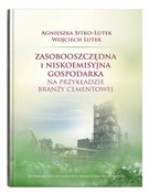 Książka : Zasobooszc... - Agnieszka Sitko-Lutek, Wojciech Lutek