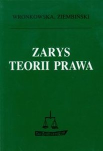Picture of Zarys teorii prawa