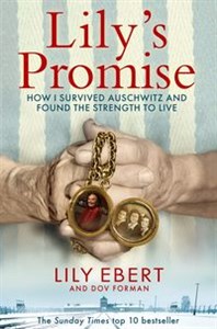 Obrazek Lily's Promise