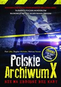 Polskie Ar... - Piotr Litka, Bogdan Michalec, Mariusz Nowak -  books in polish 