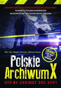 Obrazek Polskie Archiwum X Nie ma zbrodni bez kary